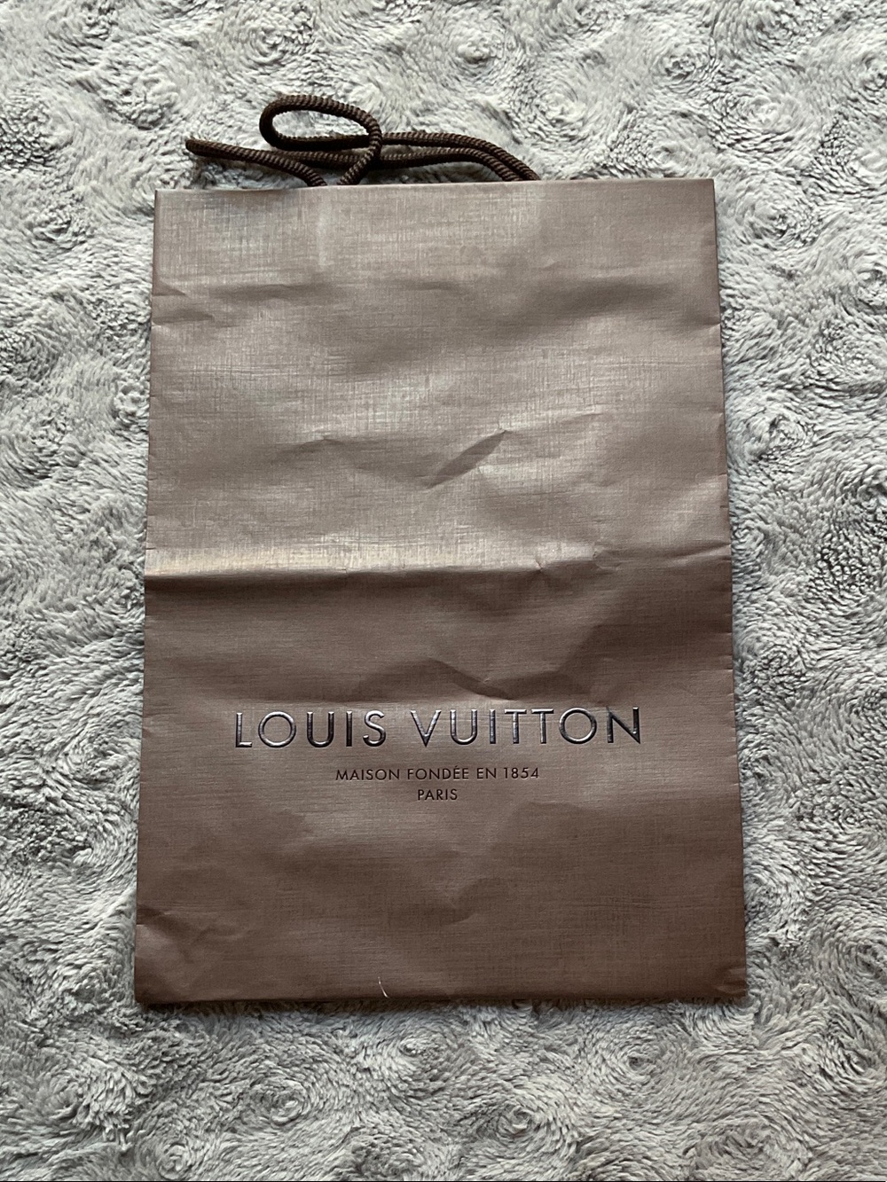 Louis Vuitton gift/shopping bag